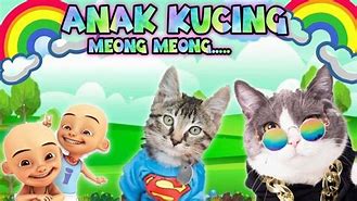 Anak Kucing Meong-Meong Ibu Kucing Meong-Meong